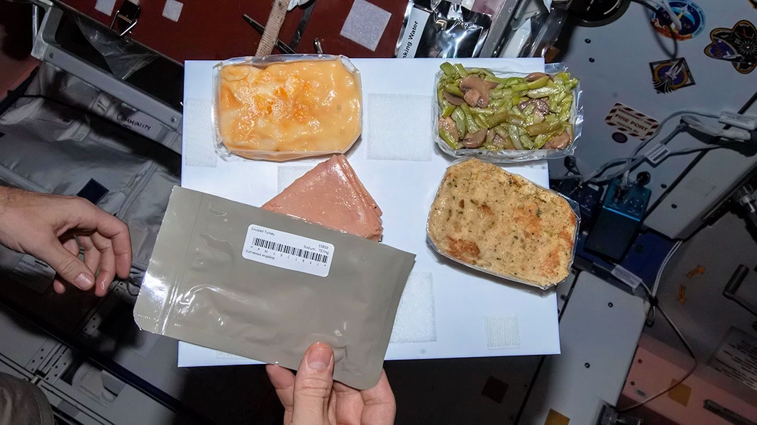 What astronauts can and can't eat in space LifeGate
