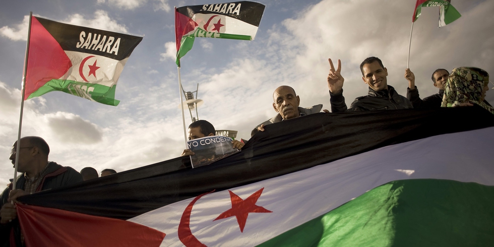 Renewed clashes in Western Sahara shed light on the plight of the Sahrawi people - Vimarsana News