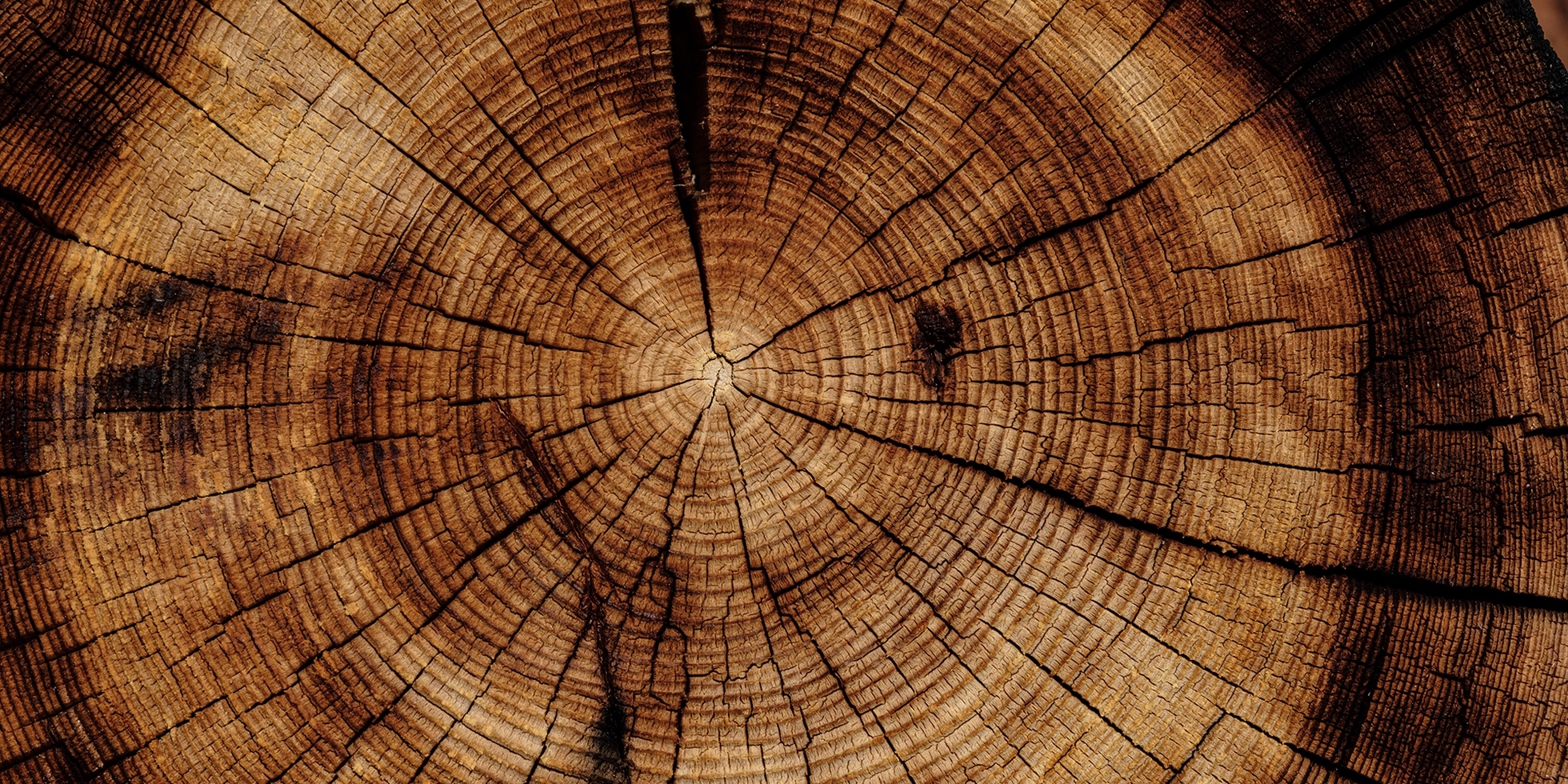 The Europe Parliament's bold plan on the circular economy - Vimarsana News