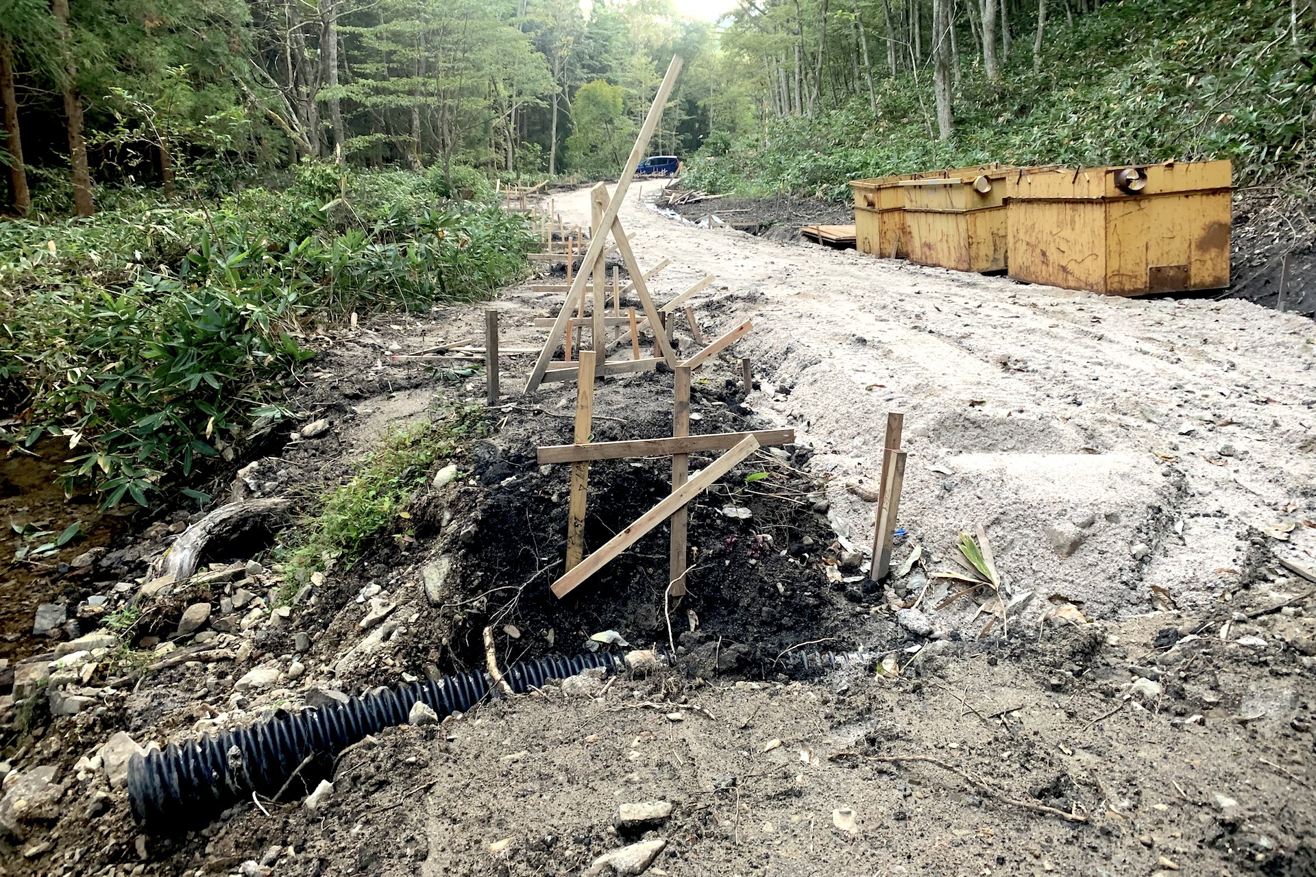 Forest road in Nichinan, Tottori, Japan