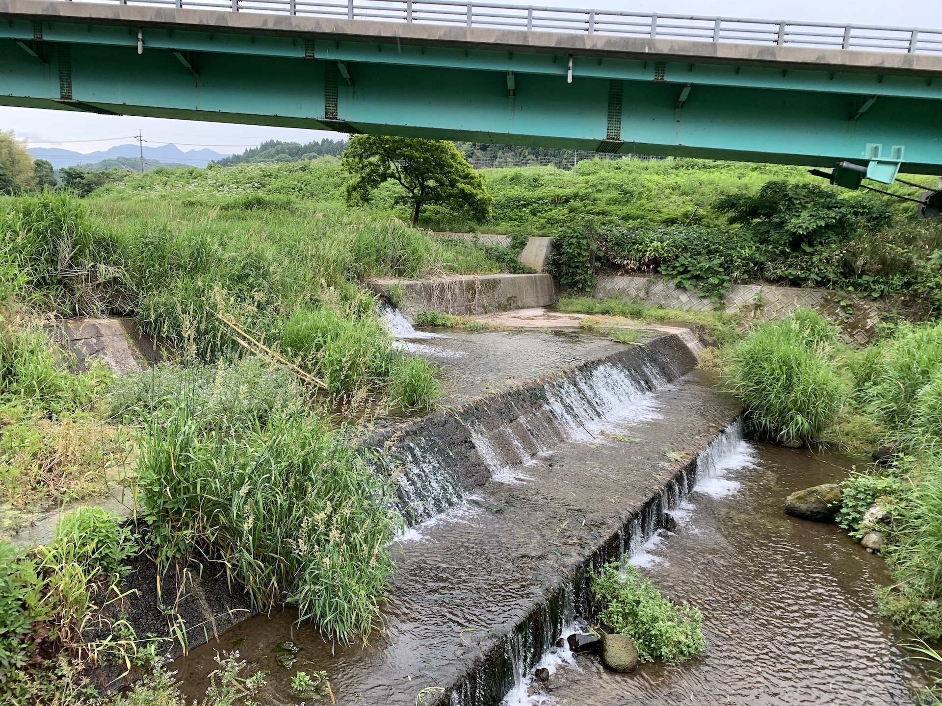 Weir along the Nawa River