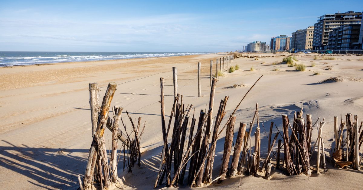 Belgium is building artificial dunes to protect itself from rising sea levels