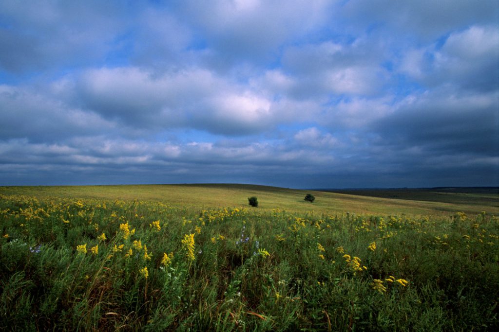 Corn ethanol, how it harms the climate and destroys the American Great