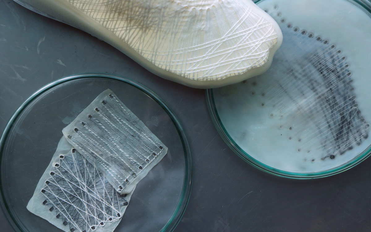 The future belongs to biomaterials. How designers are taking up the