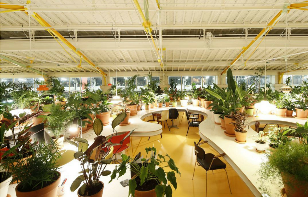 This coworking space in Lisbon is Europe's greenest. It has more than