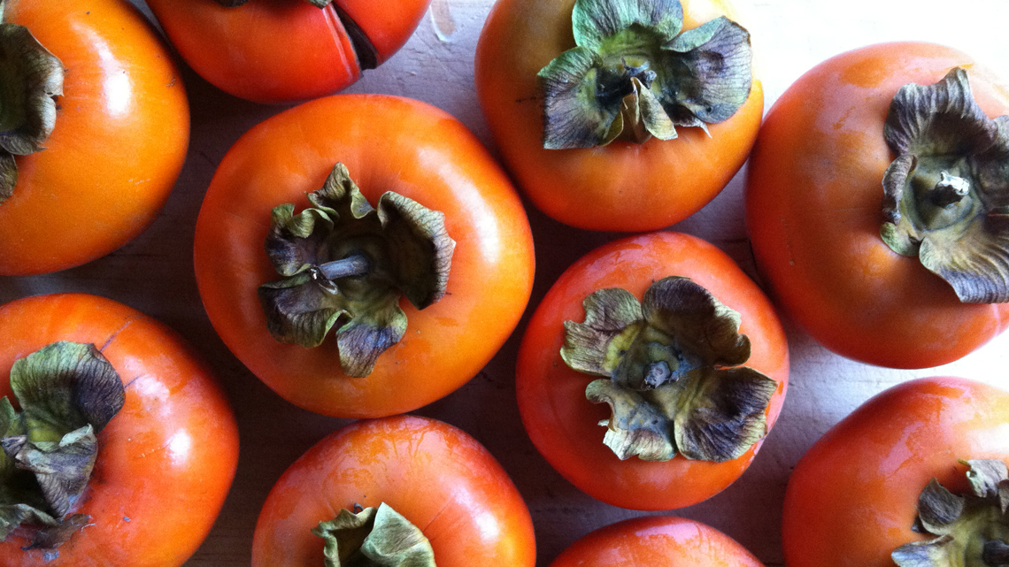 Persimmons, a seasonal treasure LifeGate