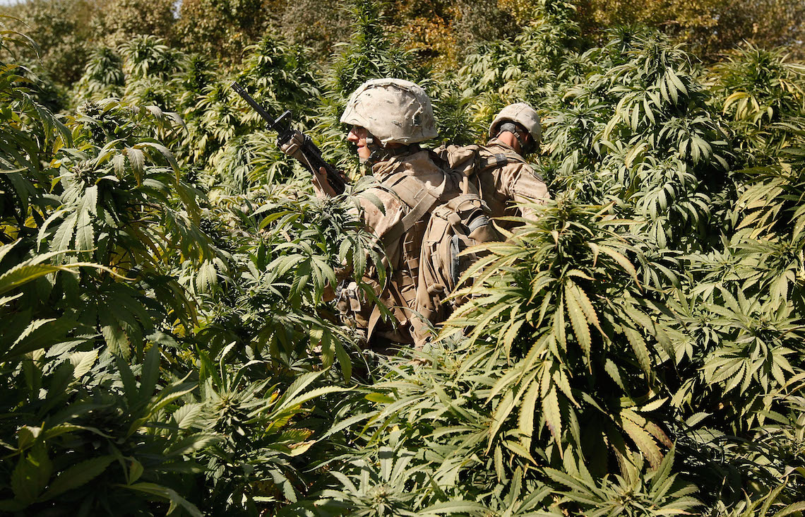 армия марихуана