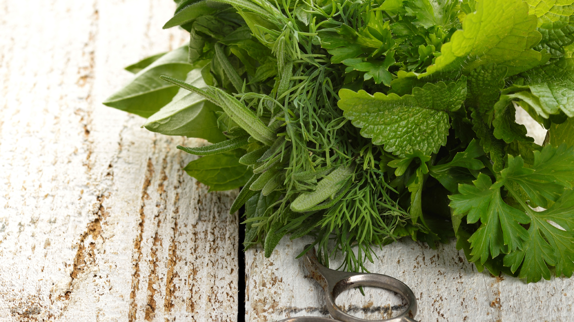 Why use wild herbs in cooking LifeGate