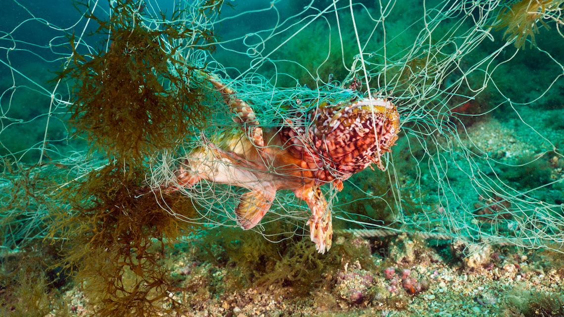 New biodegradable nets could contribute to solving ghost fishing LifeGate