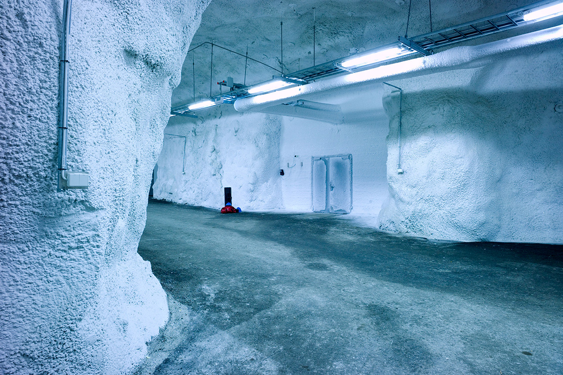 Doomsday Seed Vault Meant To Survive Global Disasters Breached By