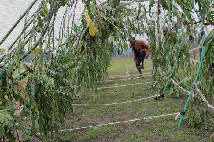 Passeggiata nella pancia dello Scorpione, Ngong © Cherimus