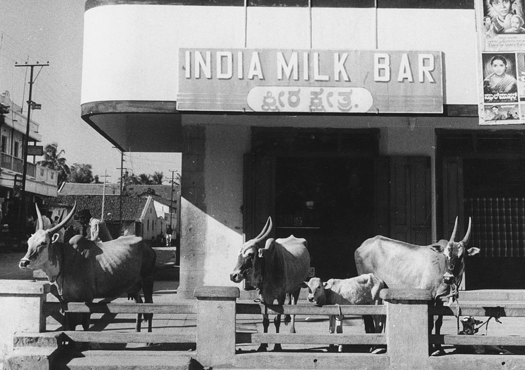 india milk bar mysore
