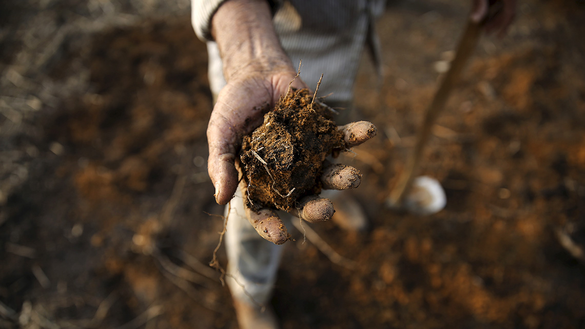 What is land grabbing and why land acquisitions are destroying the