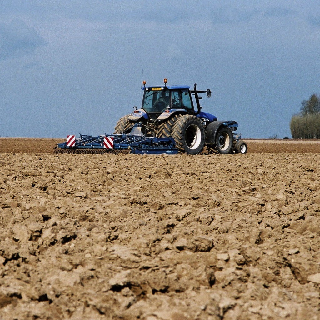 The wonders of linen, a new study reveals the secrets behind its