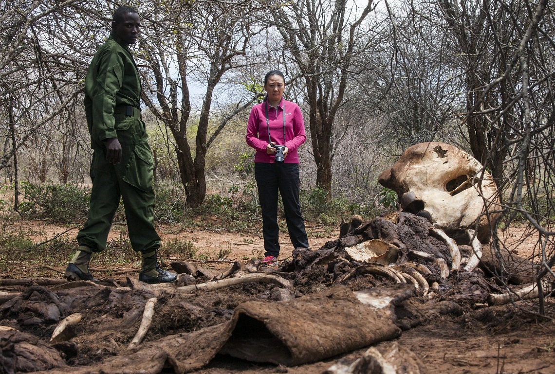 Image result for forest rangers dead