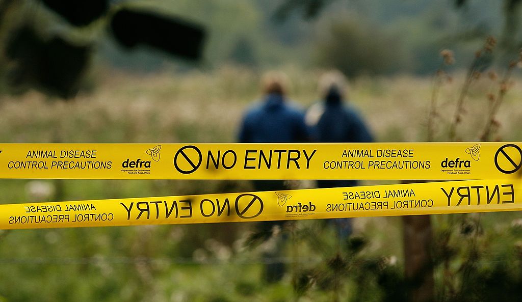 How factory farming breeds deadly viruses and epidemics